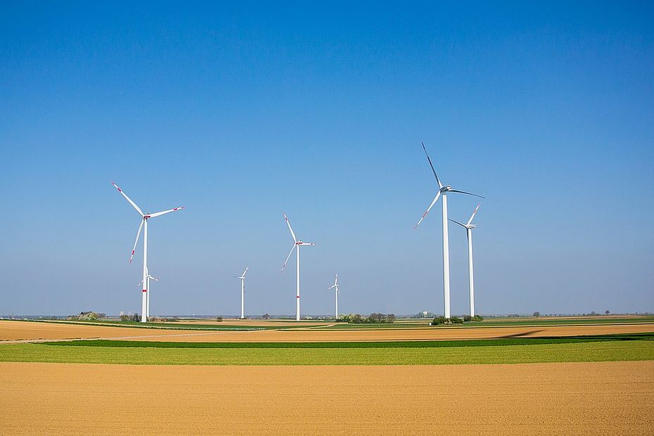Windräder stehen auf Feldern vor einem blauen Himmel